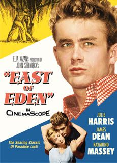 伊甸园之东[4K蓝光原盘]百度云网盘下载115网盘迅雷下载磁力链接