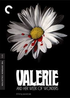 瓦莱莉和她的奇迹一周[4K蓝光原盘]百度云网盘下载115网盘迅雷下载磁力链接